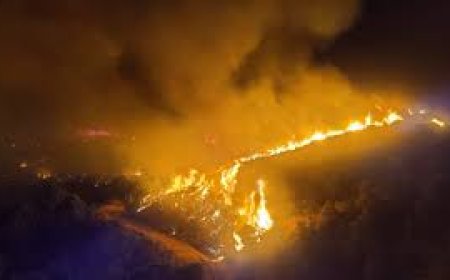 Los 2.000 desalojados por el incendio de Sierra Bermeja vuelven a sus casas mientras el fuego ya ha calcinado 2.100 hectáreas