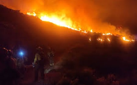 El incendio en Sierra Bermeja eclipsa la séptima jornada de campaña en Andalucía