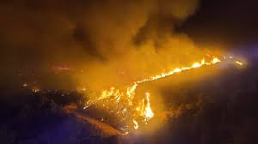 Los 2.000 desalojados por el incendio de Sierra Bermeja vuelven a sus casas mientras el fuego ya ha calcinado 2.100 hectáreas