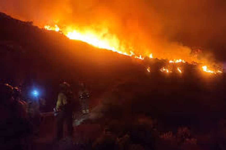 El incendio en Sierra Bermeja eclipsa la séptima jornada de campaña en Andalucía