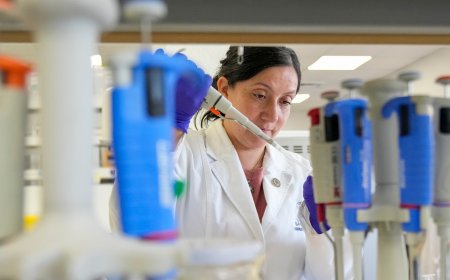 Tools to fight hantavirus show promise despite limited funding. Now researchers hope to continue