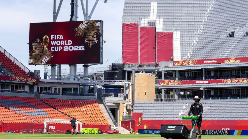 The World Cup pitches are the result of years of engineering to find just the right grass